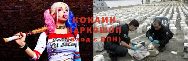 гидра Карталы