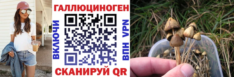 маркетплейс телеграм  где можно купить наркотик  Кириллов  Псилоцибиновые грибы мухоморы 